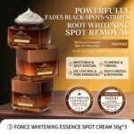 WhatsApp Image 2026-04-05 at 12.48.46 (2)