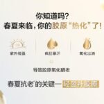 WhatsApp Image 2026-04-10 at 14.26.45 (1)