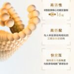 WhatsApp Image 2026-04-10 at 14.26.46